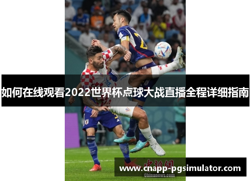 如何在线观看2022世界杯点球大战直播全程详细指南