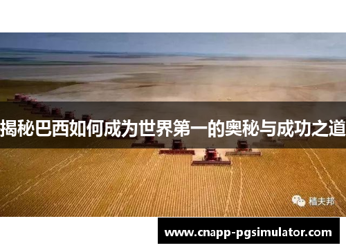 揭秘巴西如何成为世界第一的奥秘与成功之道