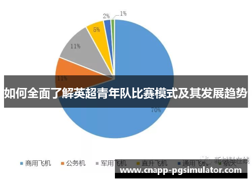 如何全面了解英超青年队比赛模式及其发展趋势