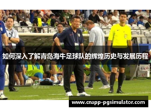 如何深入了解青岛海牛足球队的辉煌历史与发展历程