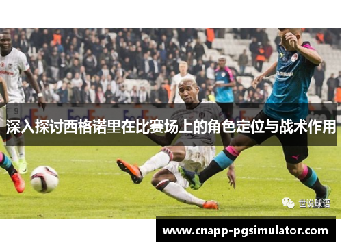 深入探讨西格诺里在比赛场上的角色定位与战术作用