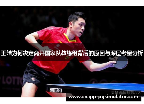 王皓为何决定离开国家队教练组背后的原因与深层考量分析
