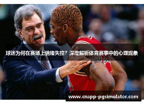 球迷为何在赛场上情绪失控？深度解析体育赛事中的心理现象