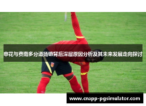 申花与费南多分道扬镳背后深层原因分析及其未来发展走向探讨