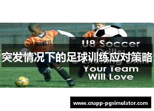 突发情况下的足球训练应对策略