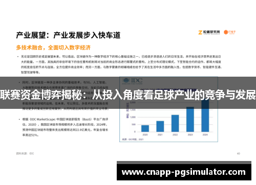联赛资金博弈揭秘：从投入角度看足球产业的竞争与发展