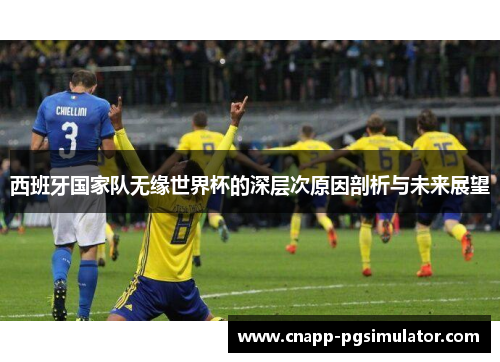 西班牙国家队无缘世界杯的深层次原因剖析与未来展望