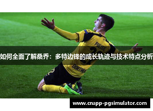 如何全面了解桑乔：多特边锋的成长轨迹与技术特点分析