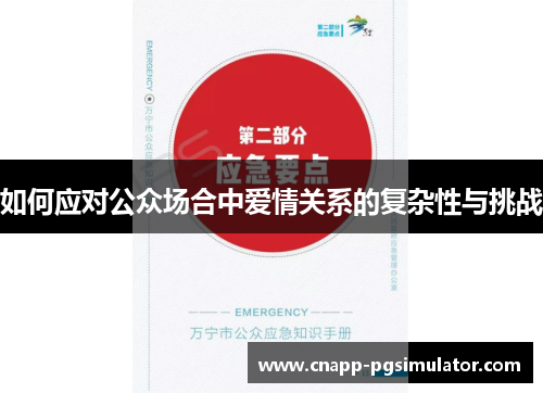如何应对公众场合中爱情关系的复杂性与挑战