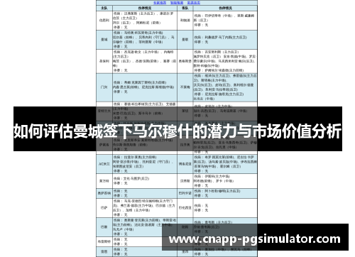 如何评估曼城签下马尔穆什的潜力与市场价值分析